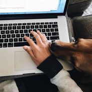 Lindsay typing on a laptop.